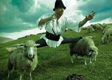 Çobanlara Mesleki Kariyer Fırsatı